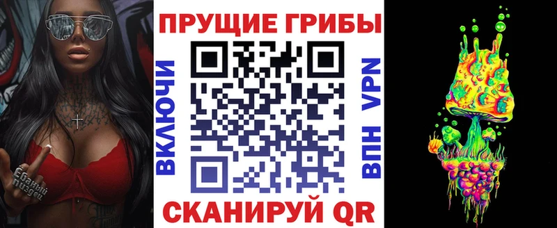 hydra tor  Курчалой  Псилоцибиновые грибы мицелий 