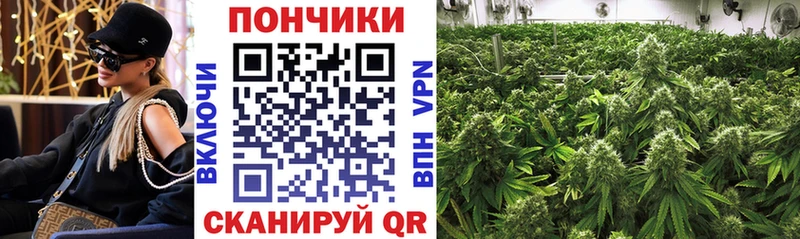 кракен сайт  магазин    Курчалой  Канабис White Widow 